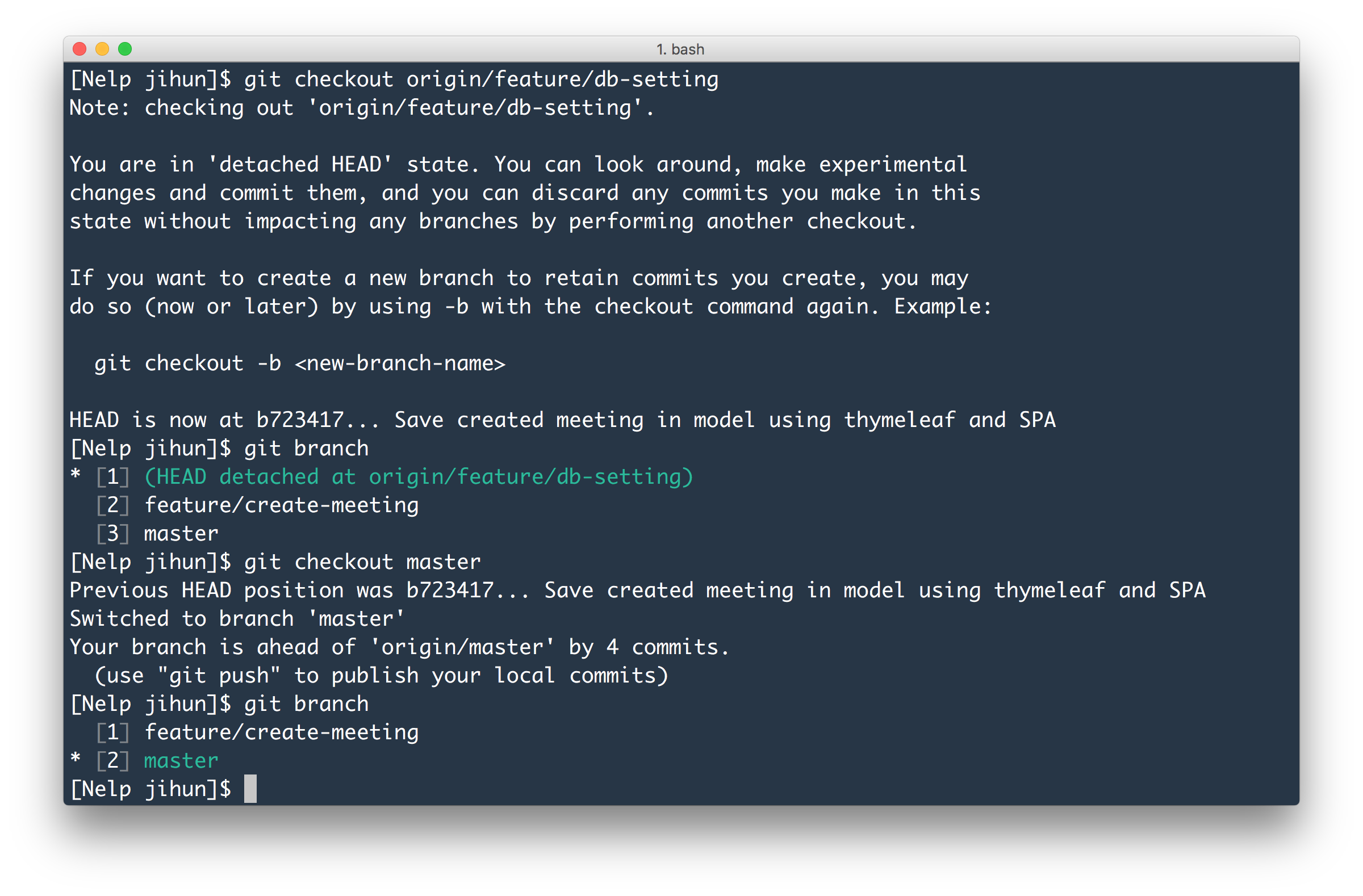 git checkout a remote branch git checkout a remote branch