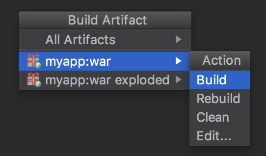 Build artifact